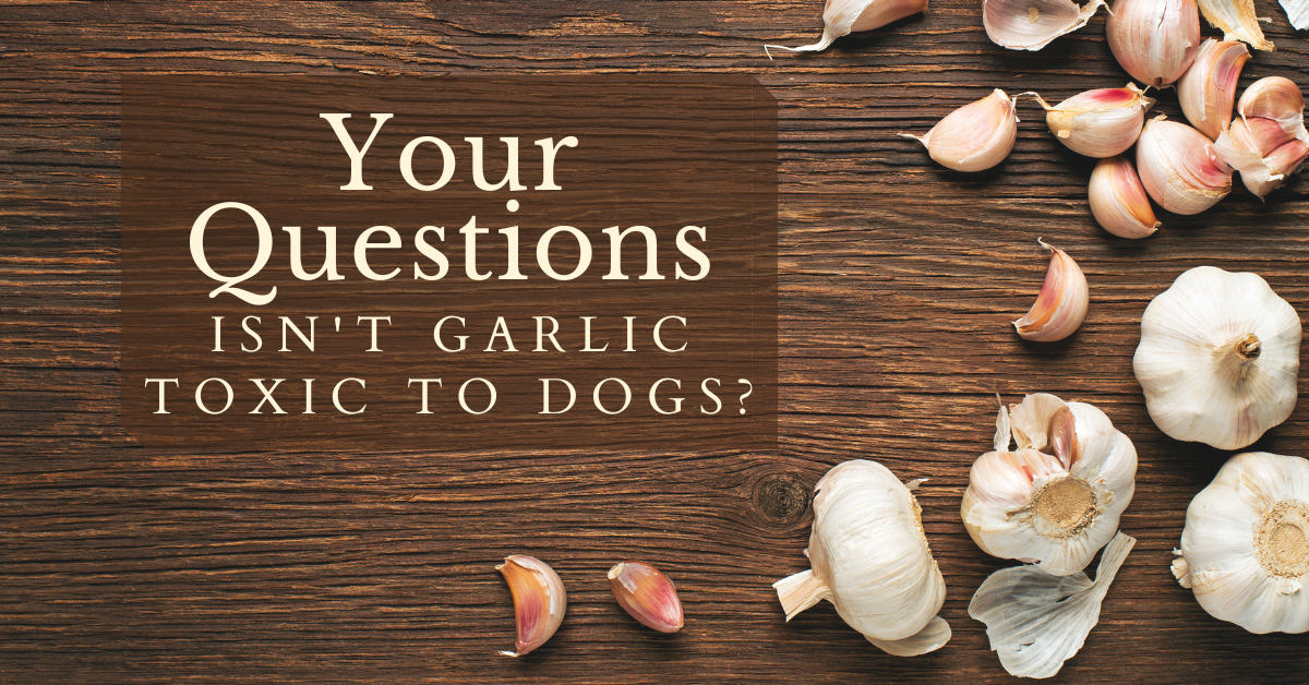 Garlic harmful outlet to dogs