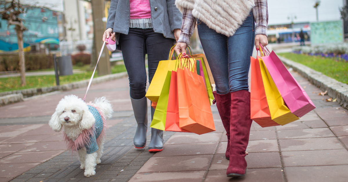 does your dog need everything the vet recommends