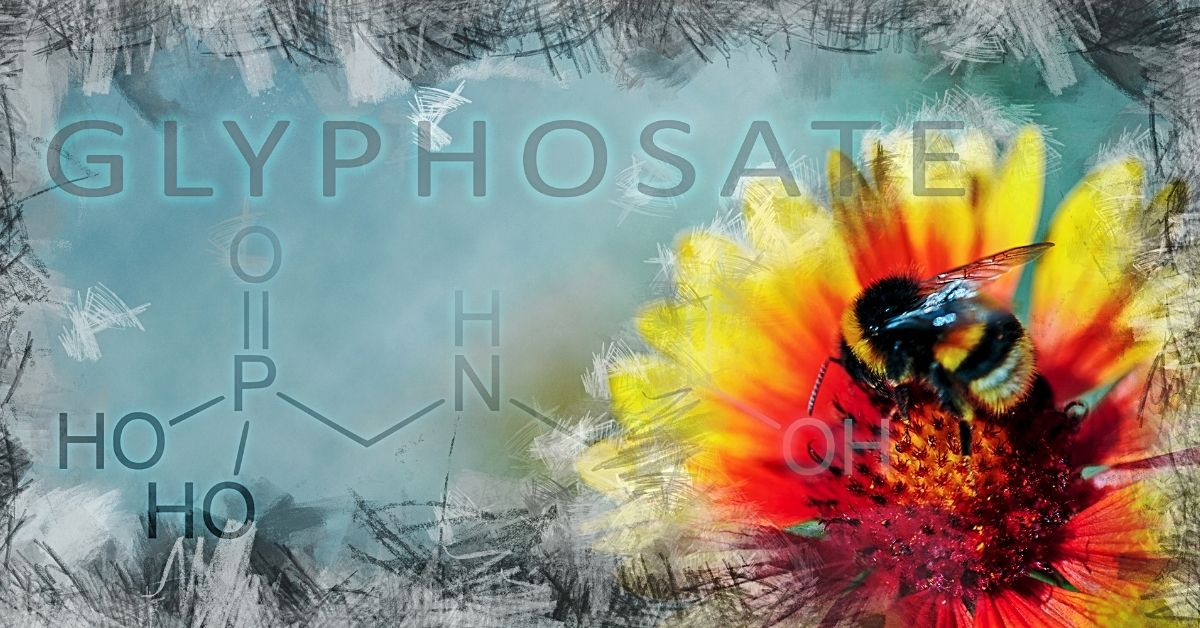 How Glyphosate Can Cause Cancer in Your Pets (And What to Do About It)