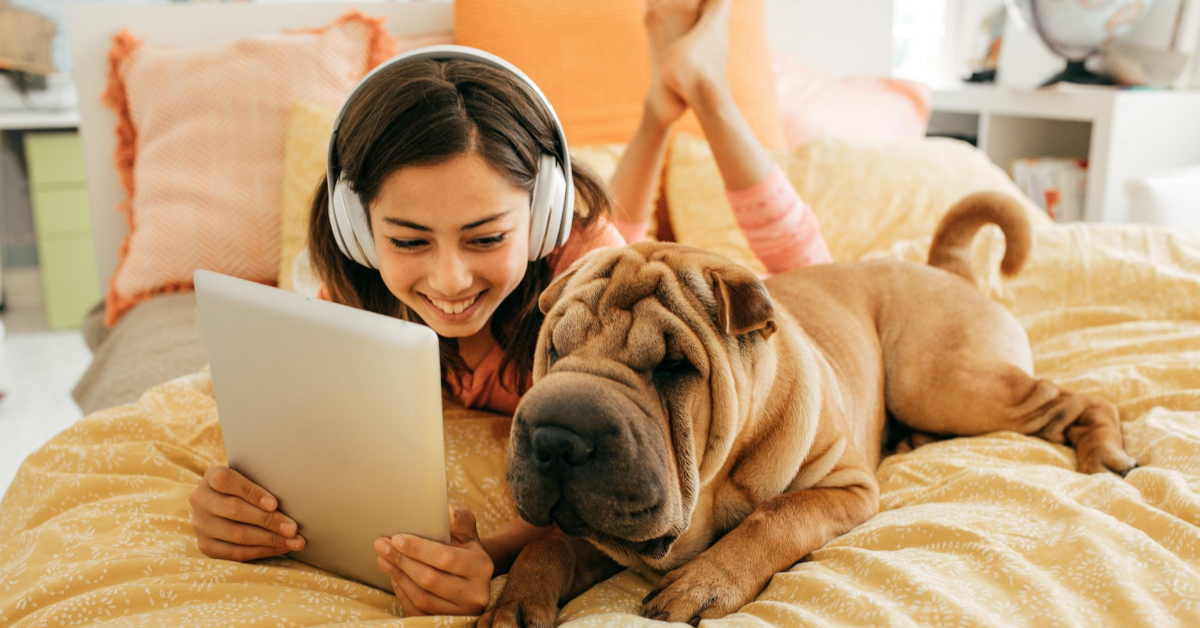 My guest appearance on MSP — Holistic Veterinary Podcast Episode