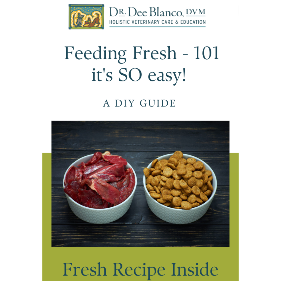 Feeding Fresh Food To Your Pet 101