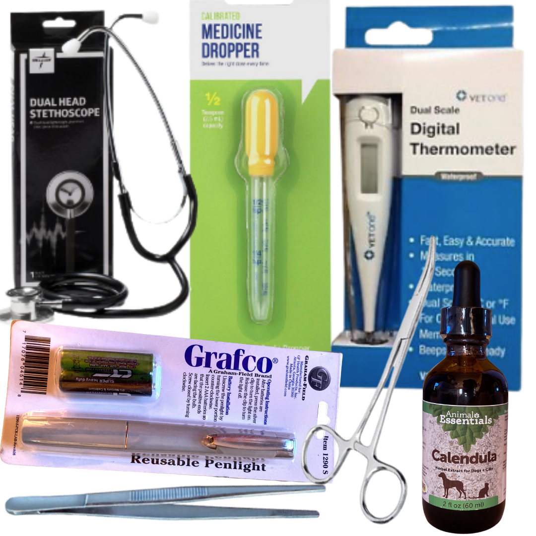 At-home Pet Parent to the Rescue: First Aid Kit for Pets