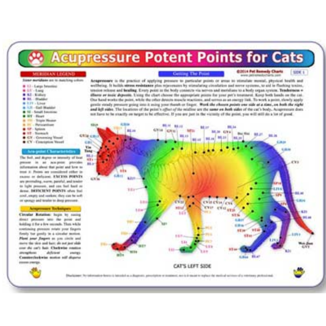 Home Remedy Charts for Conditions and Education for Pets