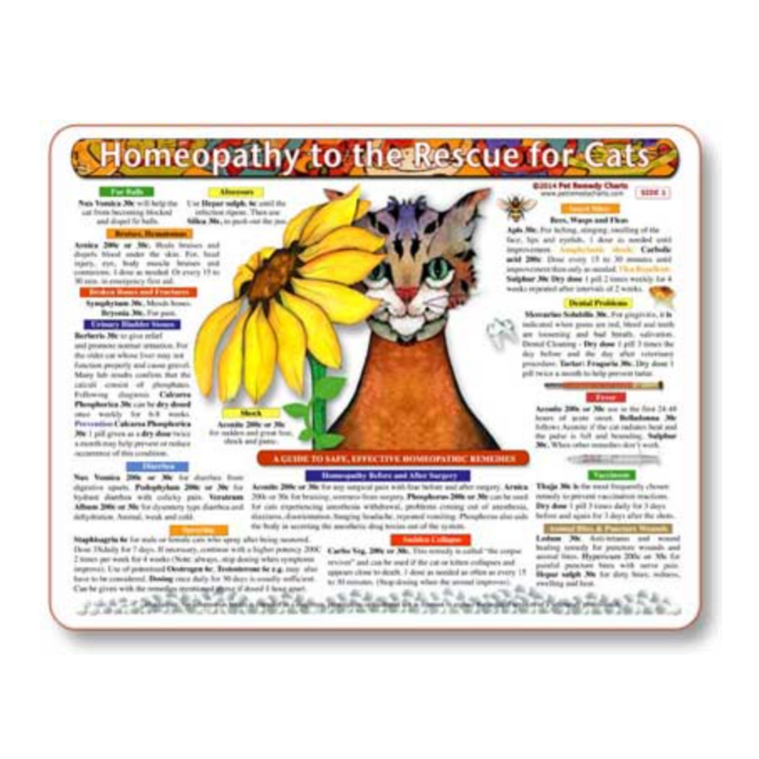 Home Remedy Charts for Conditions and Education for Pets