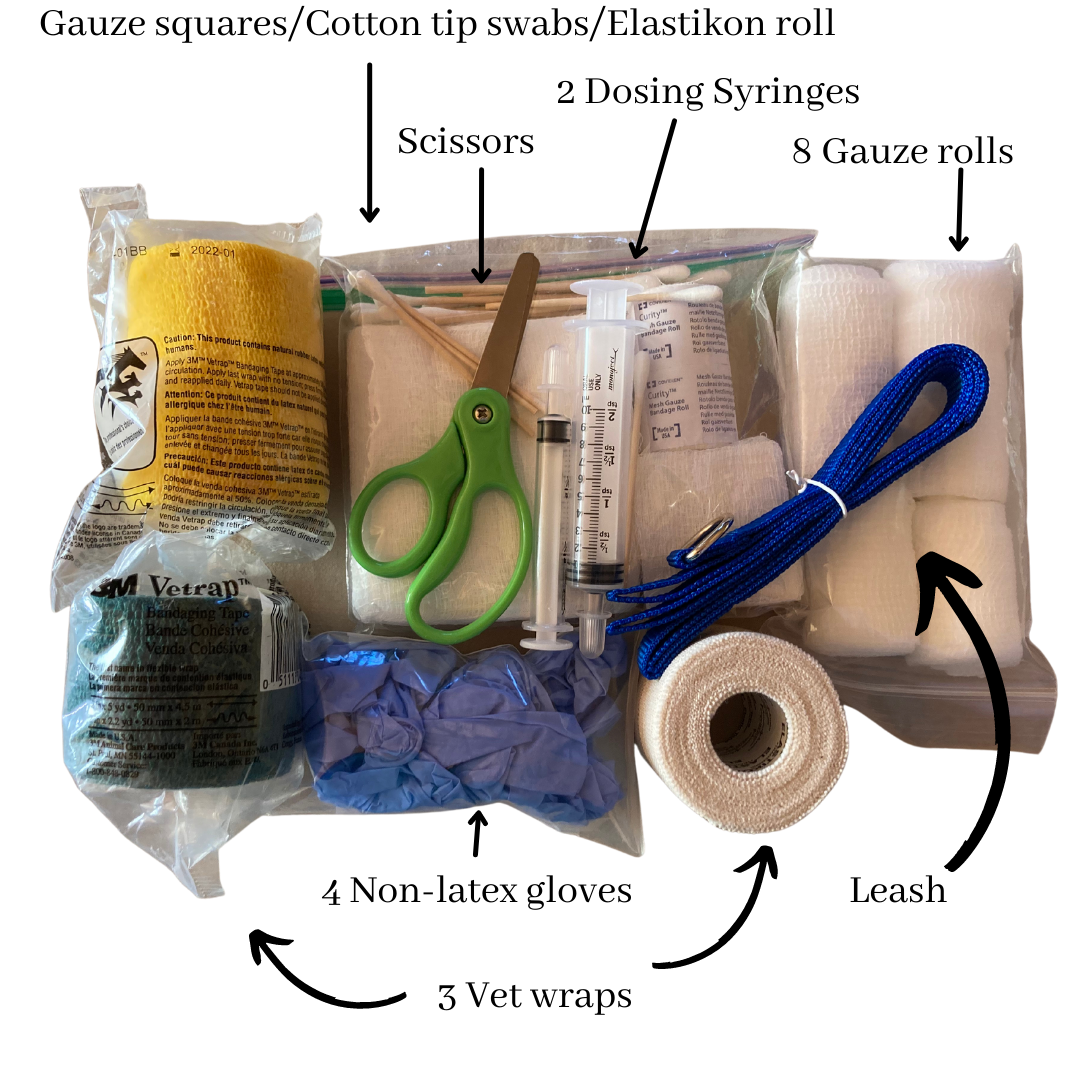 At-home Pet Parent to the Rescue: First Aid Kit for Pets