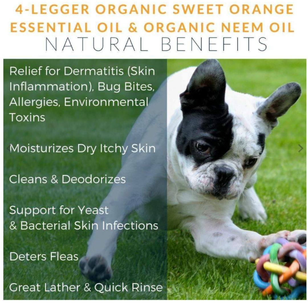 Revitalize Neem Anti-Flea Dog Shampoo by 4-Legger - 16oz