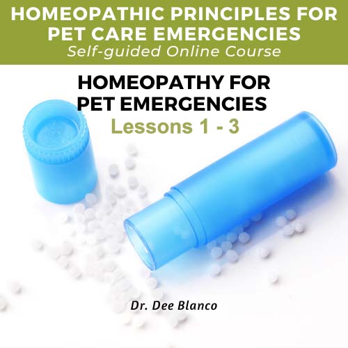 Course: Homeopathy for Pet Emergencies