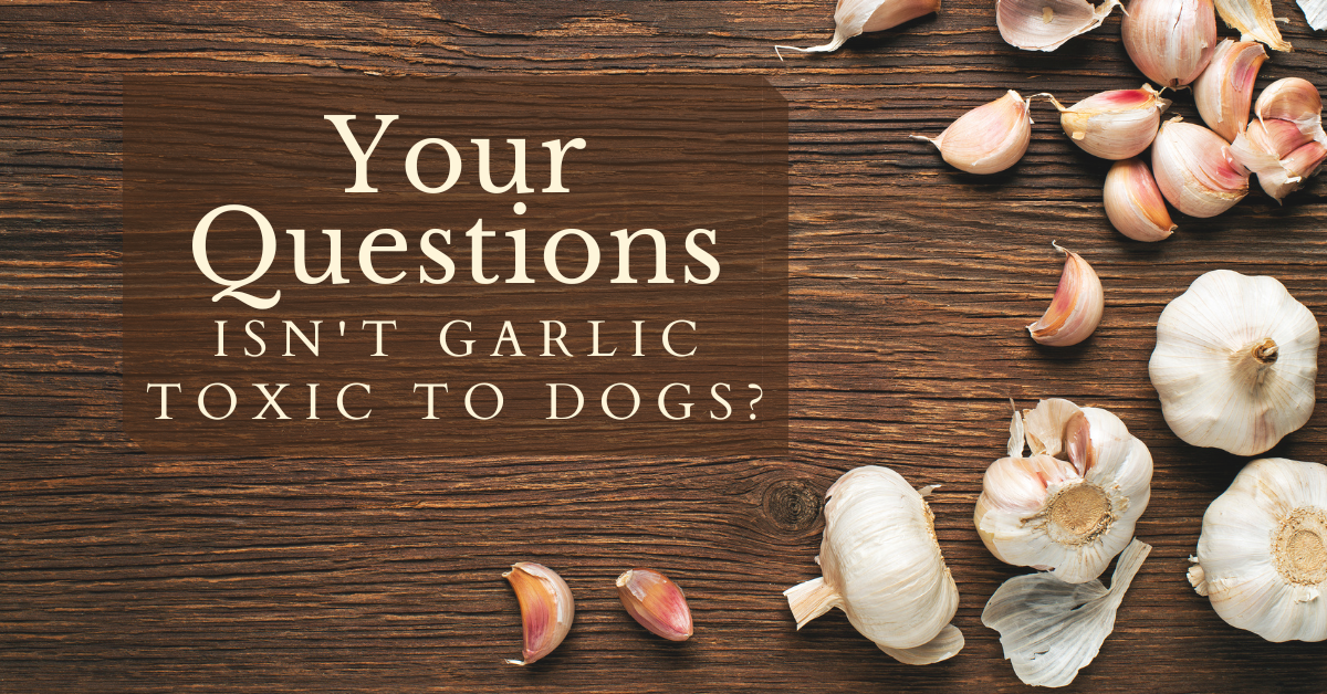 Your Questions: Isn't garlic toxic to dogs?