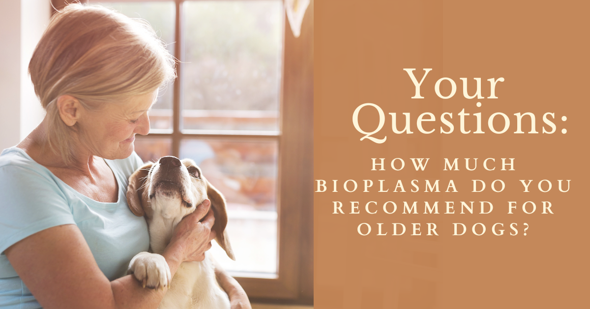 Your Questions: How much Bioplasma do you recommend I give to my older dog?