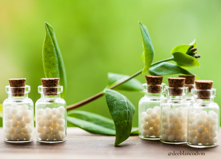 Who Invented Homeopathy?