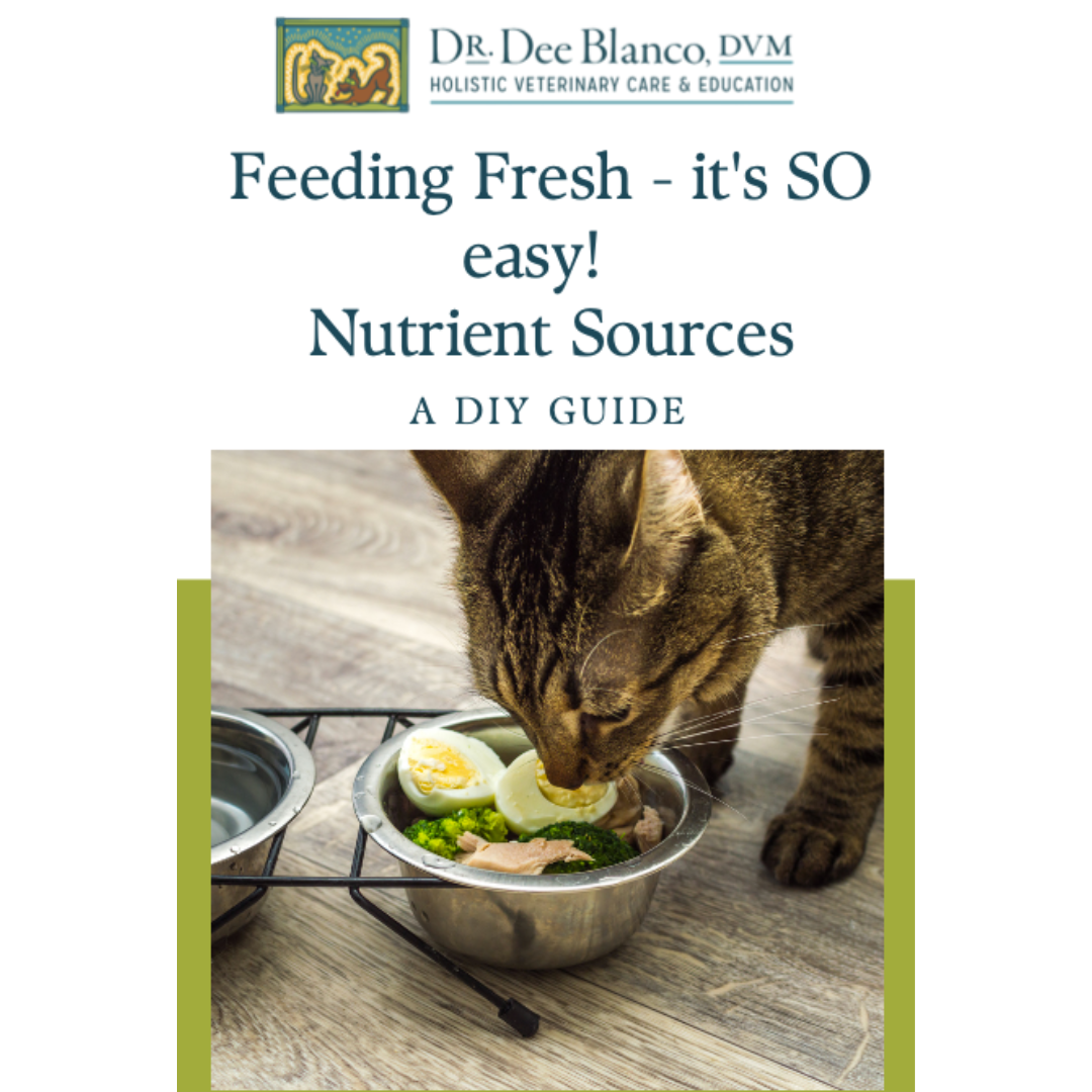 Feeding Fresh: Nutrient Sources For a Fresh Food Diet For Your Pet