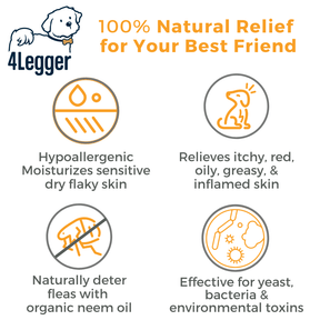 Revitalize Neem Anti-Flea Dog Shampoo by 4-Legger - 16oz