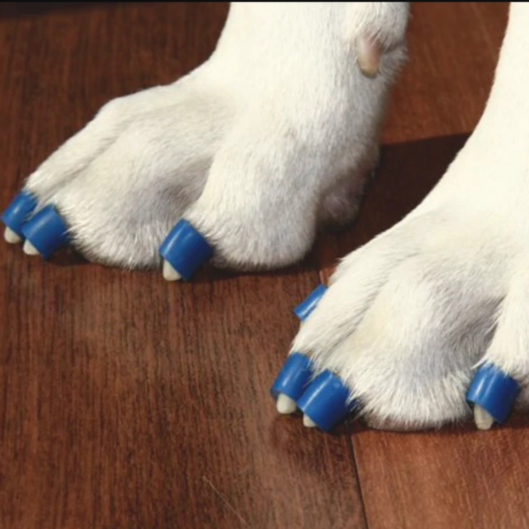 Dr. Buzby's ToeGrips for Dogs