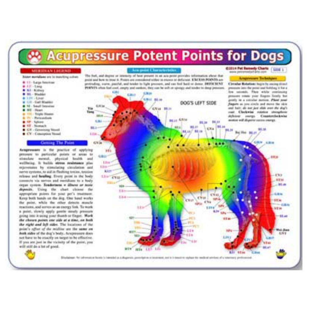 Home Remedy Charts for Conditions and Education for Pets