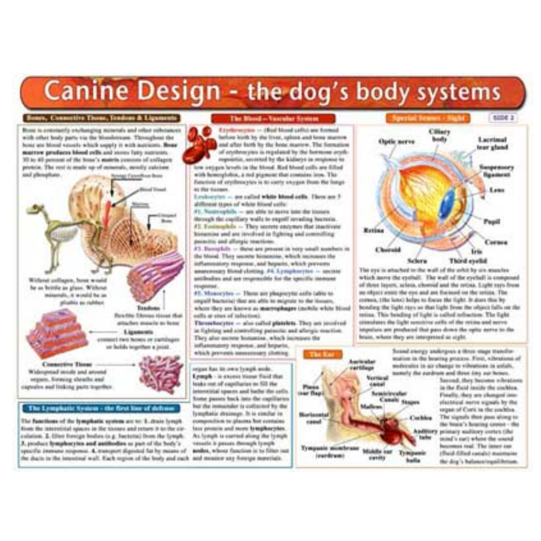 Home Remedy Charts for Conditions and Education for Pets