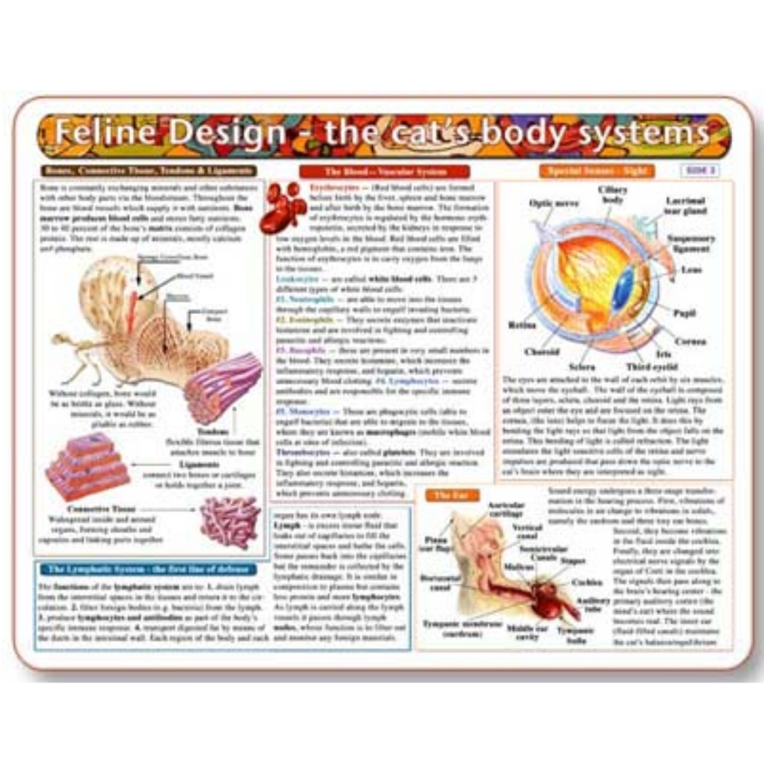 Home Remedy Charts for Conditions and Education for Pets