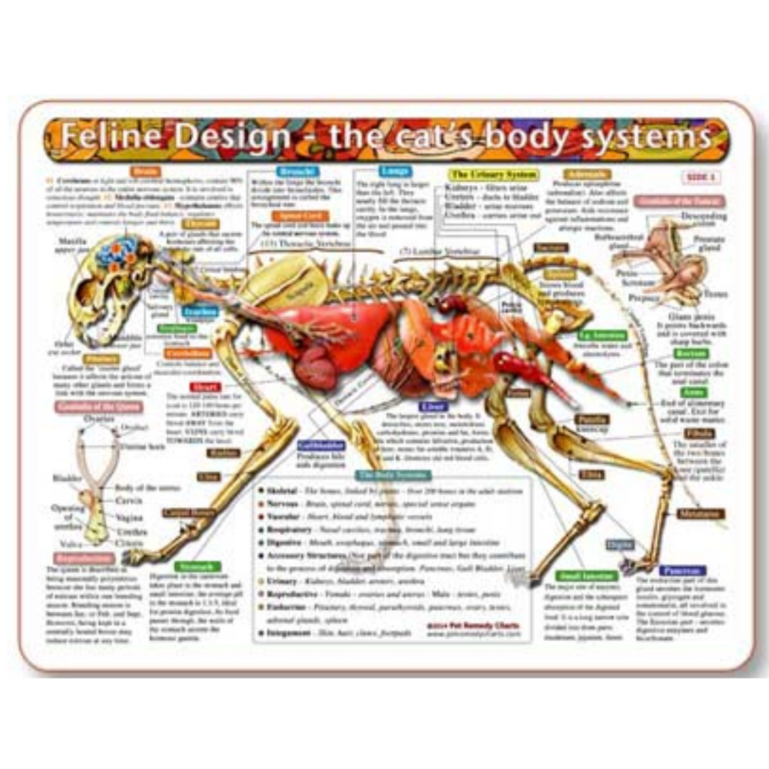 Home Remedy Charts for Conditions and Education for Pets