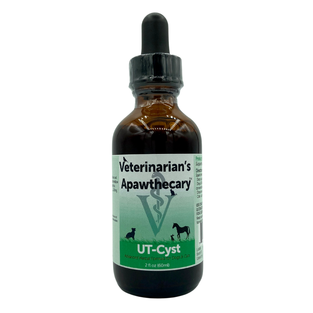 UT-Cyst Organic Herbal Tincture for Urinary Tract Support by Animal Essentials