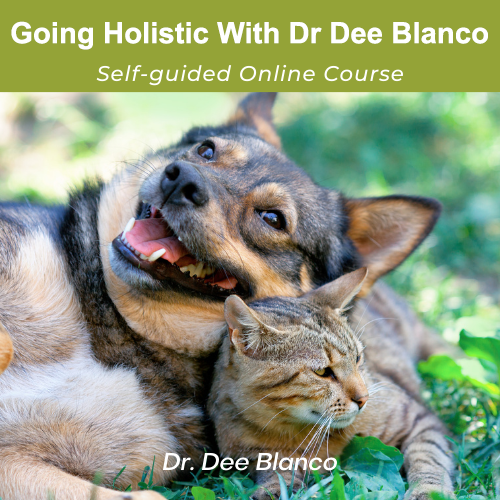 Course: Going Holistic With Dr Dee Blanco (Free course)